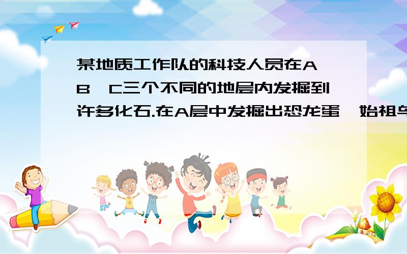 某地质工作队的科技人员在A、B、C三个不同的地层内发掘到许多化石.在A层中发掘出恐龙蛋、始祖鸟