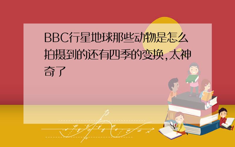 BBC行星地球那些动物是怎么拍摄到的还有四季的变换,太神奇了