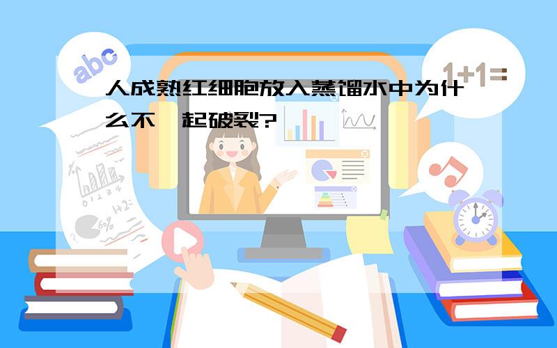 人成熟红细胞放入蒸馏水中为什么不一起破裂?