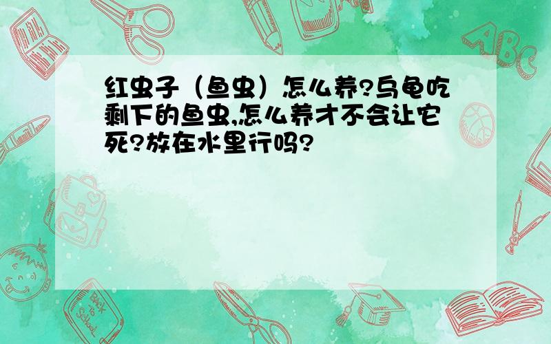 红虫子（鱼虫）怎么养?乌龟吃剩下的鱼虫,怎么养才不会让它死?放在水里行吗?