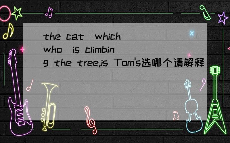 the cat(which who)is climbing the tree,is Tom's选哪个请解释