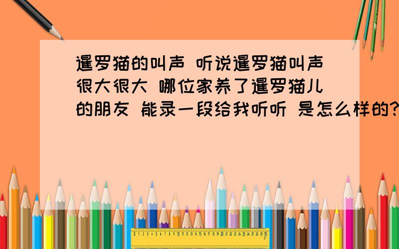 暹罗猫的叫声 听说暹罗猫叫声很大很大 哪位家养了暹罗猫儿的朋友 能录一段给我听听 是怎么样的?