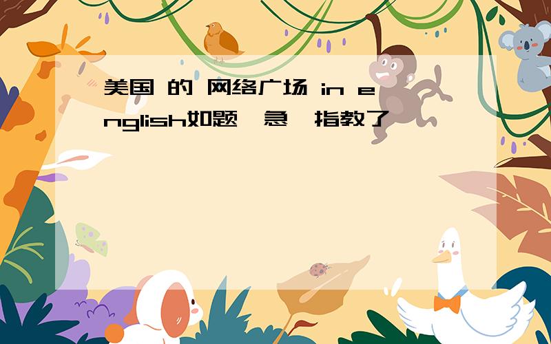 美国 的 网络广场 in english如题,急,指教了