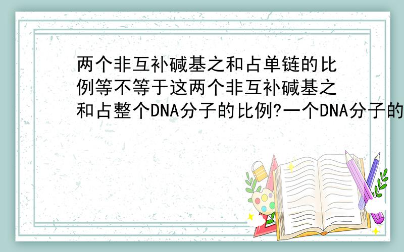 两个非互补碱基之和占单链的比例等不等于这两个非互补碱基之和占整个DNA分子的比例?一个DNA分子的一条链上腺嘌呤比鸟嘌呤多40%，两者之和占DNA分子碱基总数的24%，则这个DNA分子的另一条