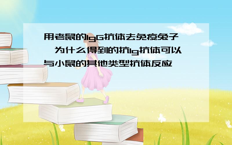 用老鼠的IgG抗体去免疫兔子,为什么得到的抗Ig抗体可以与小鼠的其他类型抗体反应