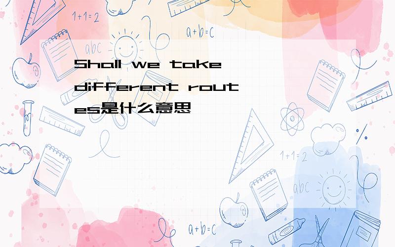 Shall we take different routes是什么意思