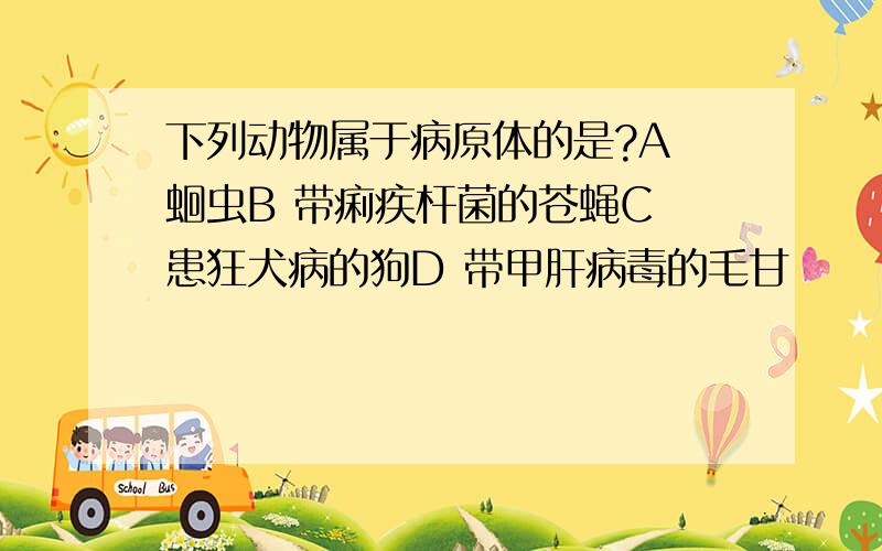 下列动物属于病原体的是?A 蛔虫B 带痢疾杆菌的苍蝇C 患狂犬病的狗D 带甲肝病毒的毛甘