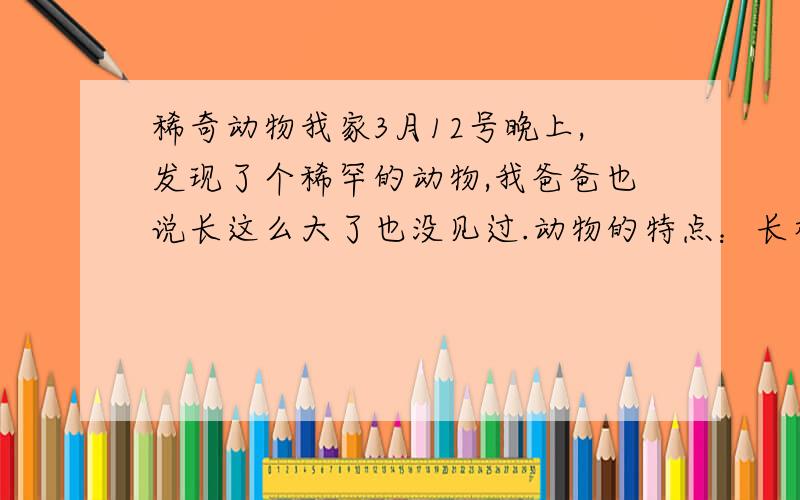 稀奇动物我家3月12号晚上,发现了个稀罕的动物,我爸爸也说长这么大了也没见过.动物的特点：长相像老鼠,不过体型比老鼠吧,爪子像鹰爪,几乎看不见眼睛和耳朵,毛色是棕灰色的.脸型是平的,