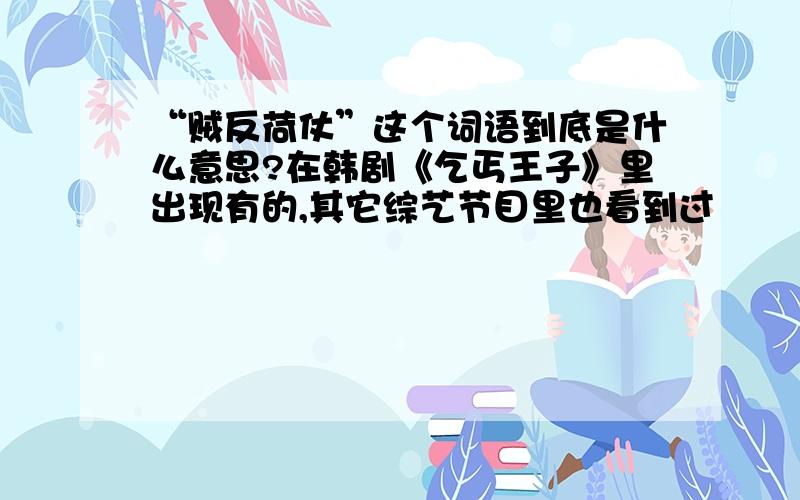 “贼反荷仗”这个词语到底是什么意思?在韩剧《乞丐王子》里出现有的,其它综艺节目里也看到过