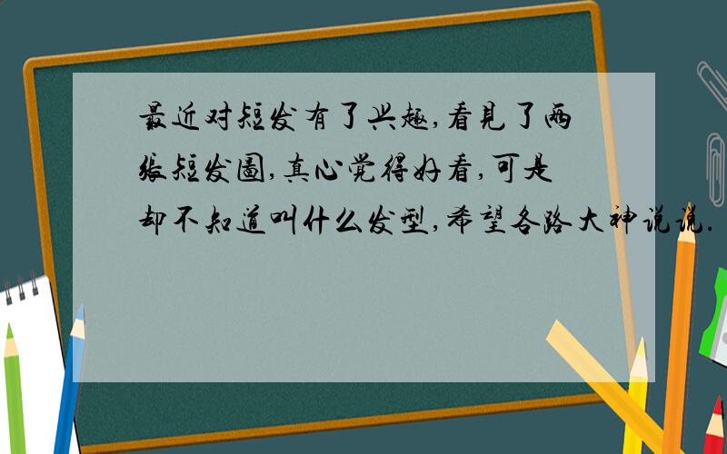 最近对短发有了兴趣,看见了两张短发图,真心觉得好看,可是却不知道叫什么发型,希望各路大神说说.