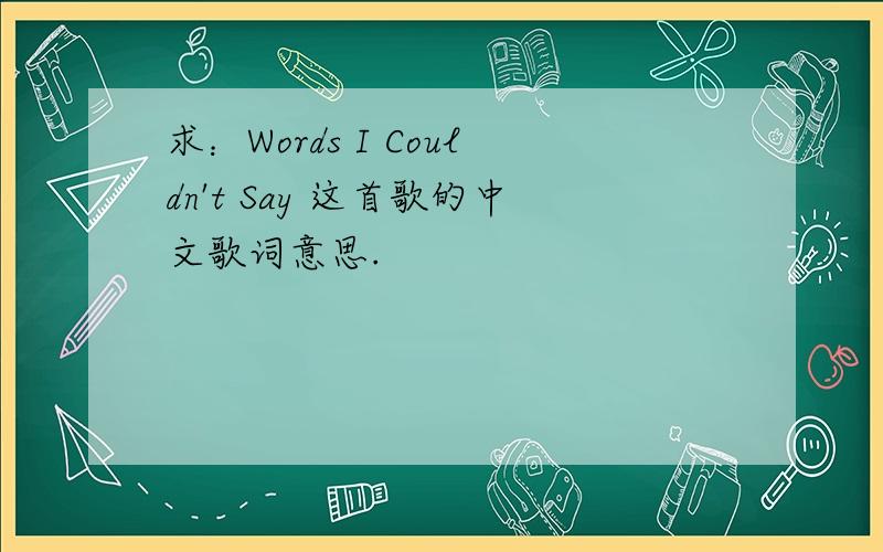 求：Words I Couldn't Say 这首歌的中文歌词意思.