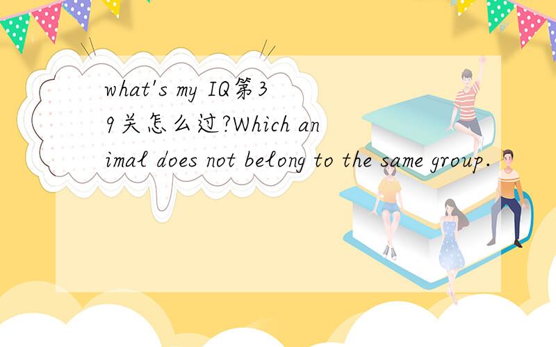 what's my IQ第39关怎么过?Which animal does not belong to the same group.