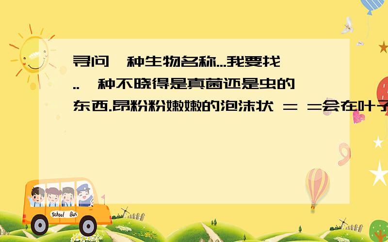 寻问一种生物名称...我要找..一种不晓得是真菌还是虫的东西.昂粉粉嫩嫩的泡沫状 = =会在叶子上或者桥上发现.好奇个我啊..到底是个什么东西新闻里听到好像它的名字里有 寿 字