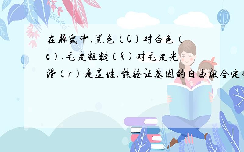 在豚鼠中,黑色（C）对白色（c）,毛皮粗糙（R)对毛皮光滑（r）是显性.能验证基因的自由组合定律的最佳杂交组合是：A黑光X白光→18黑光：16白光B黑光X白粗→25黑粗C黑光X白粗→15黑粗：7黑