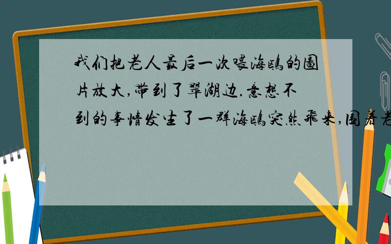 我们把老人最后一次喂海鸥的图片放大,带到了翠湖边.意想不到的事情发生了一群海鸥突然飞来,围着老人的遗像翻飞盘旋,连声鸣叫,叫声和姿势与平时不一样,像是发生了什么大事.（发生了什