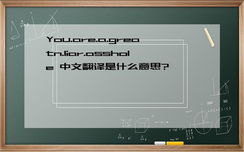 You.are.a.greatn.liar.asshole 中文翻译是什么意思?