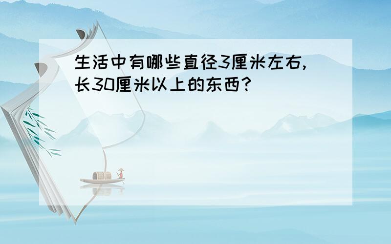 生活中有哪些直径3厘米左右,长30厘米以上的东西?