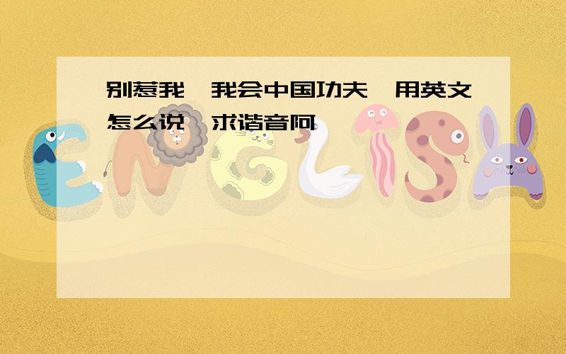 别惹我,我会中国功夫,用英文怎么说,求谐音阿