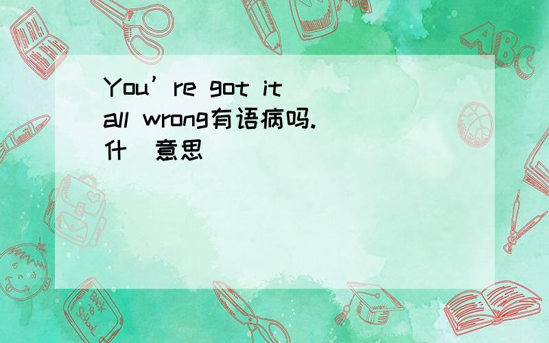 You’re got it all wrong有语病吗.什麼意思