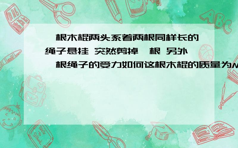 一根木棍两头系着两根同样长的绳子悬挂 突然剪掉一根 另外一根绳子的受力如何这根木棍的质量为M 剪掉的瞬间剩下的绳子受到多大的力的作用