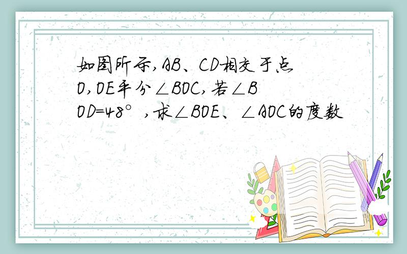 如图所示,AB、CD相交于点O,OE平分∠BOC,若∠BOD=48°,求∠BOE、∠AOC的度数