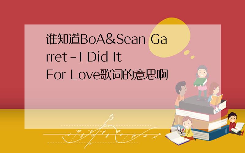 谁知道BoA&Sean Garret-I Did It For Love歌词的意思啊