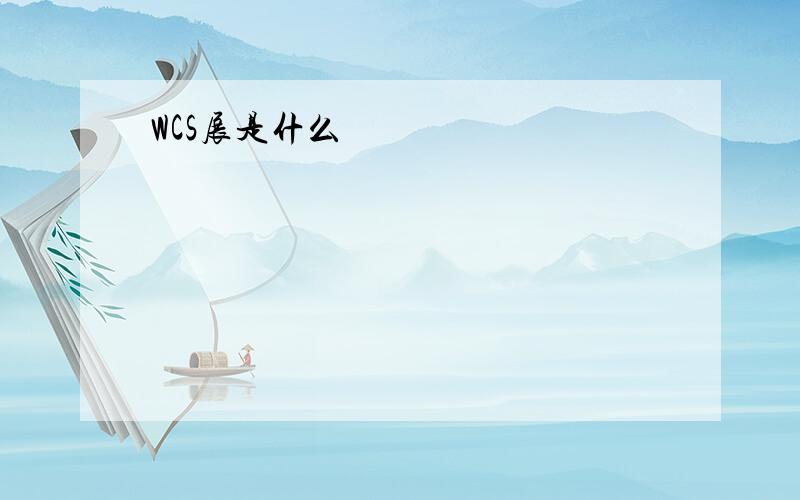 WCS展是什么