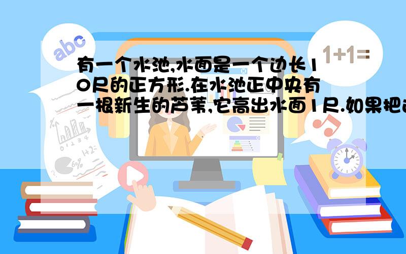 有一个水池,水面是一个边长10尺的正方形.在水池正中央有一根新生的芦苇,它高出水面1尺.如果把这根芦苇垂直拉向岸边,它的顶端恰好到达岸边的水面.请问这个水池的深度和芦苇的长度各是