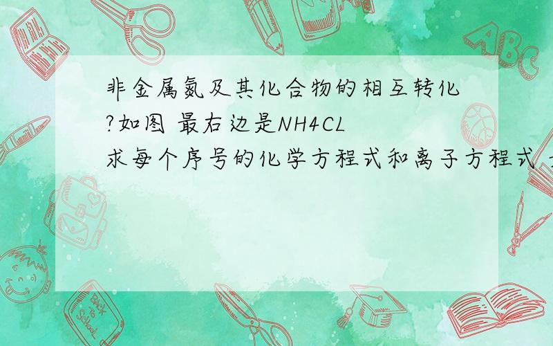 非金属氮及其化合物的相互转化?如图 最右边是NH4CL 求每个序号的化学方程式和离子方程式 最左边的是NH4CL 上面说错了。