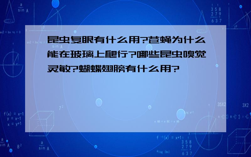 昆虫复眼有什么用?苍蝇为什么能在玻璃上爬行?哪些昆虫嗅觉灵敏?蝴蝶翅膀有什么用?