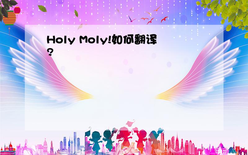 Holy Moly!如何翻译?