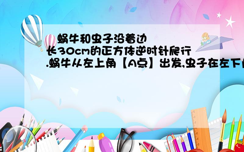  蜗牛和虫子沿着边长30cm的正方体逆时针爬行.蜗牛从左上角【A点】出发,虫子在左下角【B点】出发,蜗牛每分钟爬8厘米,虫子每分钟爬18厘米.求虫子第一次追上蜗牛的地方注：右上是D,右下