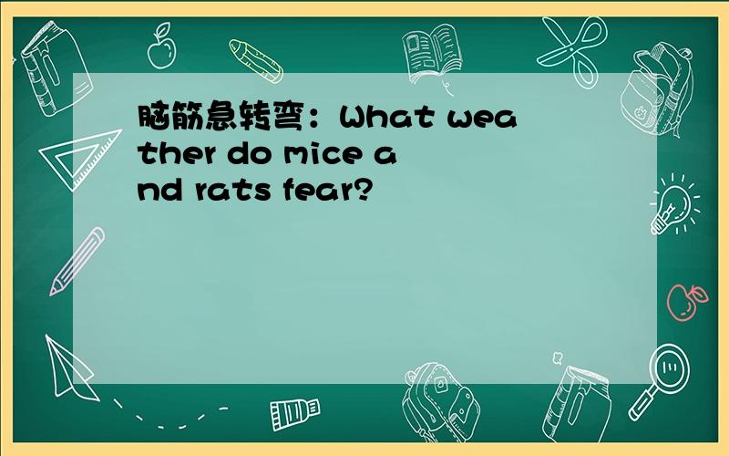 脑筋急转弯：What weather do mice and rats fear?