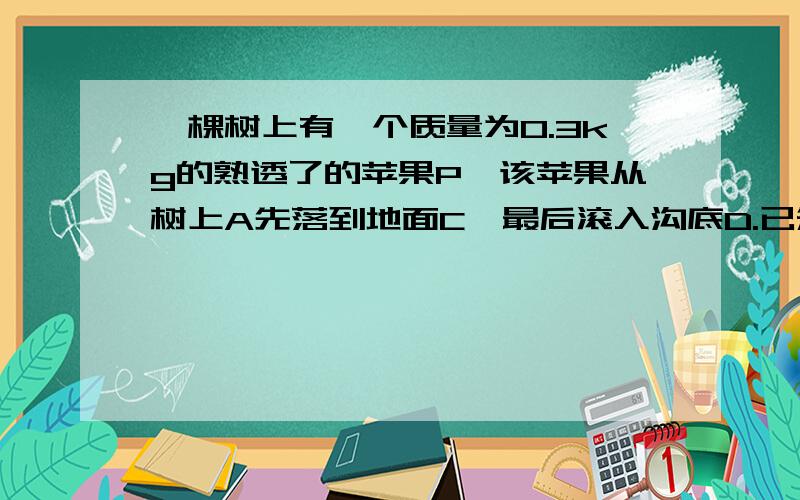 一棵树上有一个质量为0.3kg的熟透了的苹果P,该苹果从树上A先落到地面C,最后滚入沟底D.已知AC、CD的高度差分别为2.2m和3m,以地面C为零势能面,A、B、C、D、E面之间竖直距离如图所示.算出该苹果