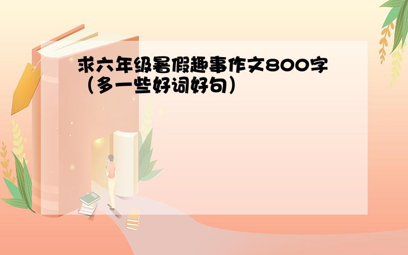 求六年级暑假趣事作文800字（多一些好词好句）