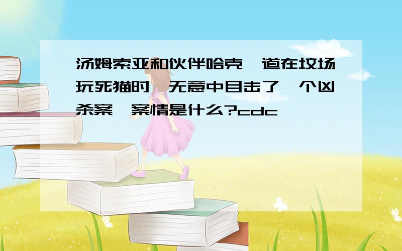 汤姆索亚和伙伴哈克一道在坟场玩死猫时,无意中目击了一个凶杀案,案情是什么?cdc