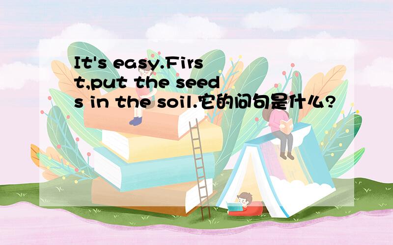 It's easy.First,put the seeds in the soil.它的问句是什么?