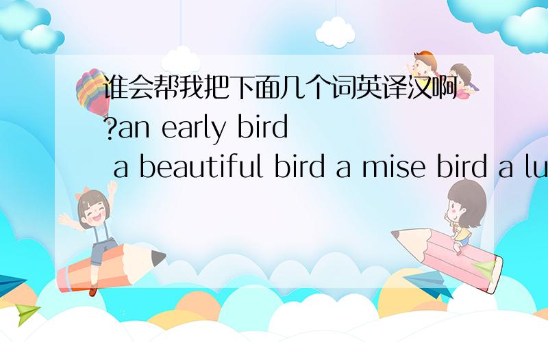 谁会帮我把下面几个词英译汉啊?an early bird a beautiful bird a mise bird a lucky dog a shy fish 是 