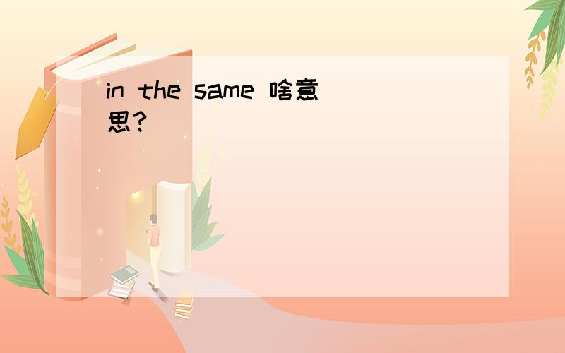 in the same 啥意思?