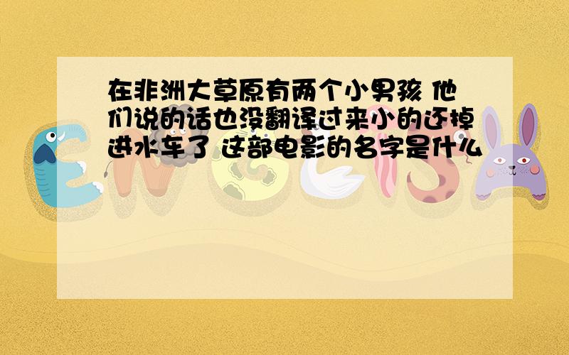 在非洲大草原有两个小男孩 他们说的话也没翻译过来小的还掉进水车了 这部电影的名字是什么