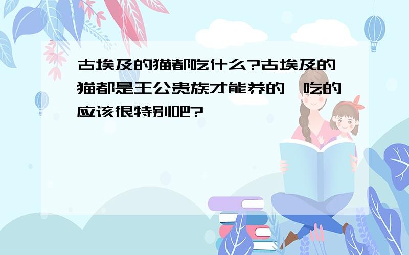 古埃及的猫都吃什么?古埃及的猫都是王公贵族才能养的,吃的应该很特别吧?