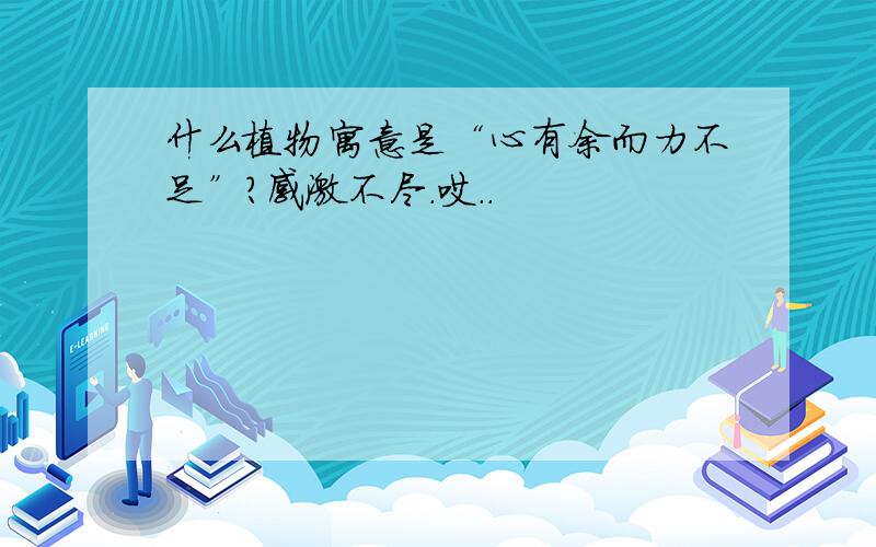 什么植物寓意是“心有余而力不足”?感激不尽.哎..