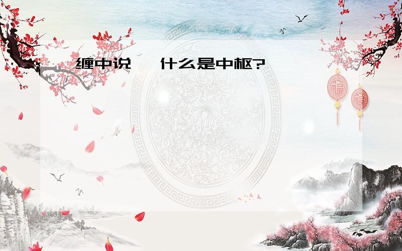 缠中说禅 什么是中枢?