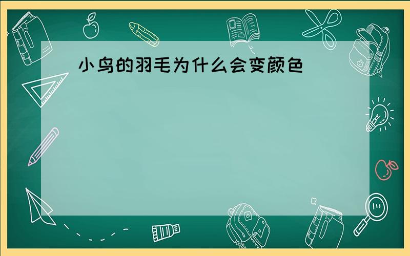 小鸟的羽毛为什么会变颜色