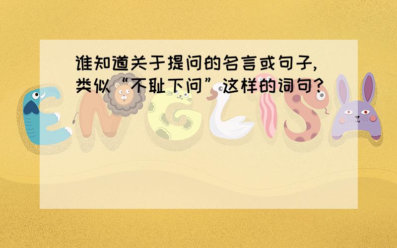 谁知道关于提问的名言或句子,类似“不耻下问”这样的词句?