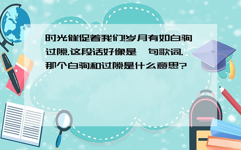 时光催促着我们!岁月有如白驹过隙.这段话好像是一句歌词.那个白驹和过隙是什么意思?