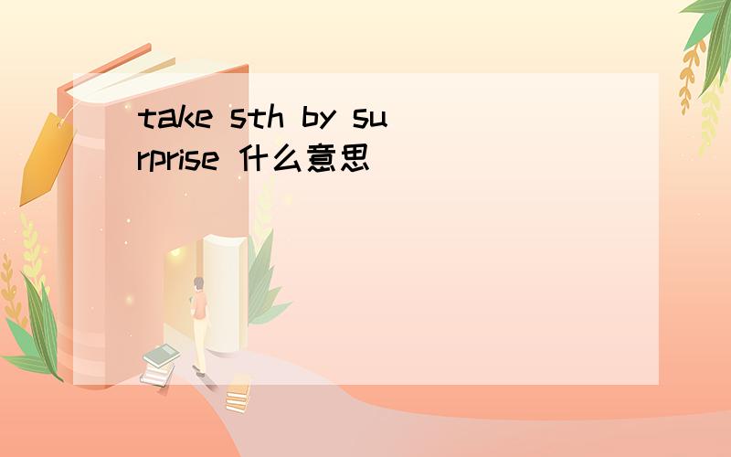 take sth by surprise 什么意思