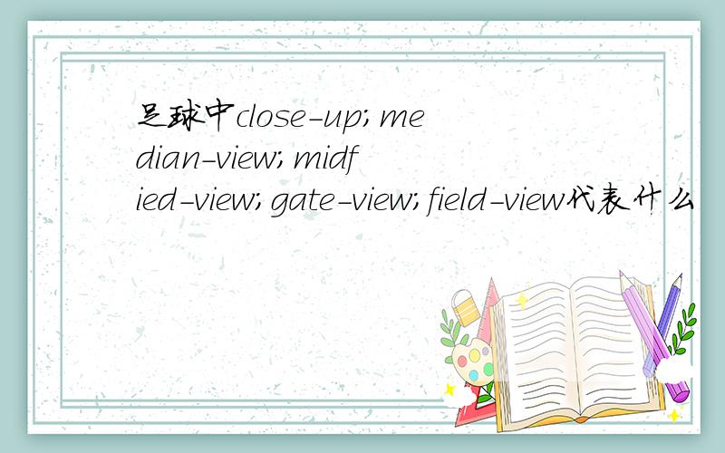 足球中close-up；median-view；midfied-view；gate-view；field-view代表什么