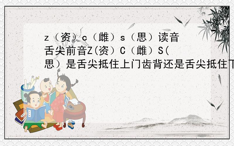 z（资）c（雌）s（思）读音舌尖前音Z(资）C（雌）S(思）是舌尖抵住上门齿背还是舌尖抵住下齿背?我居然看到两个版本哪个才是正确的?