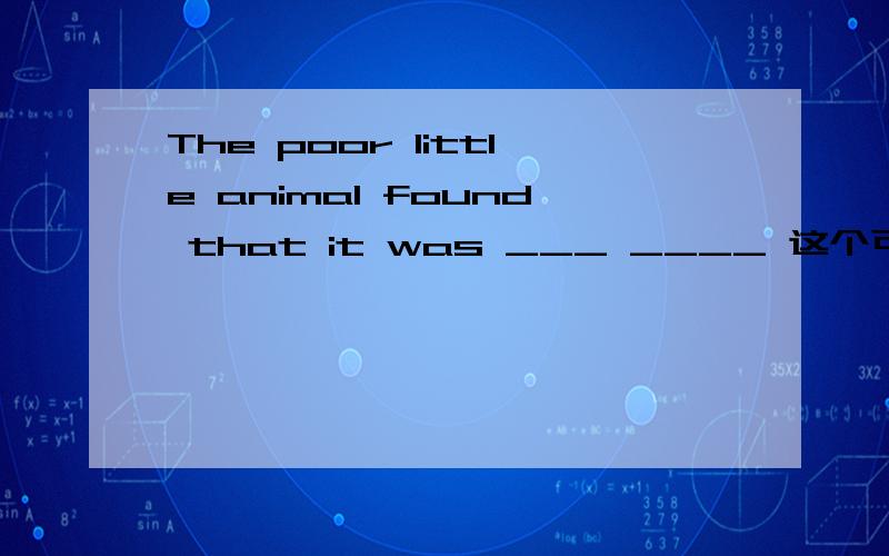 The poor little animal found that it was ___ ____ 这个可怜的小动物发现他的处境很危险